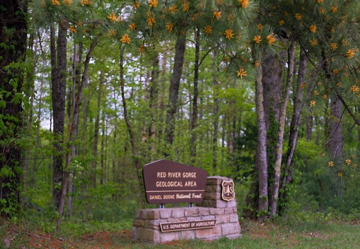 Spring in the Red River Gorge